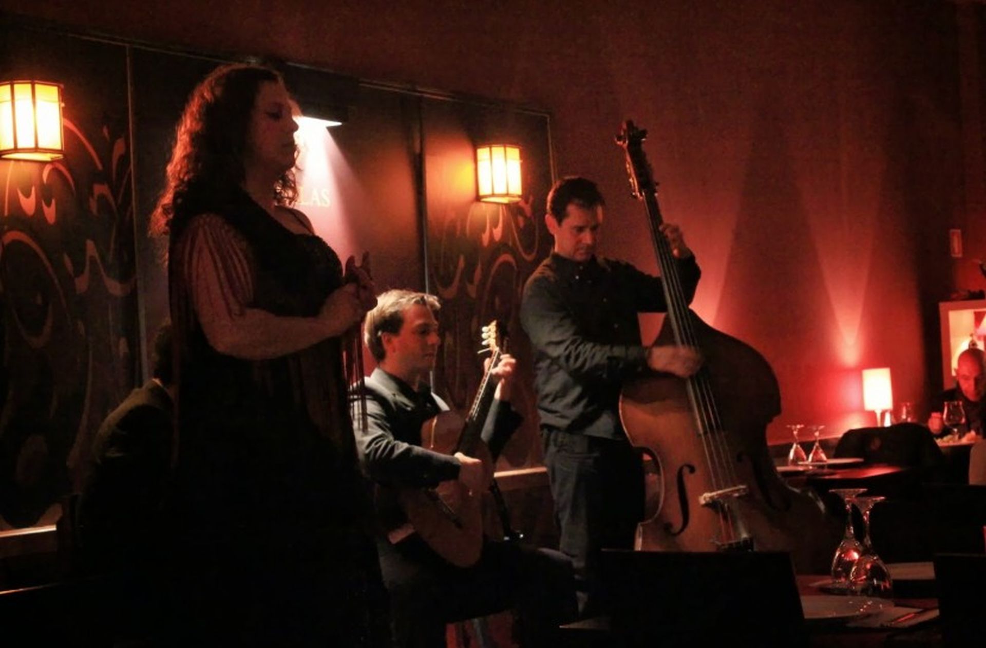 Experiencia Fado: Tour Nocturno con Cena - Alojamientos en Oporto