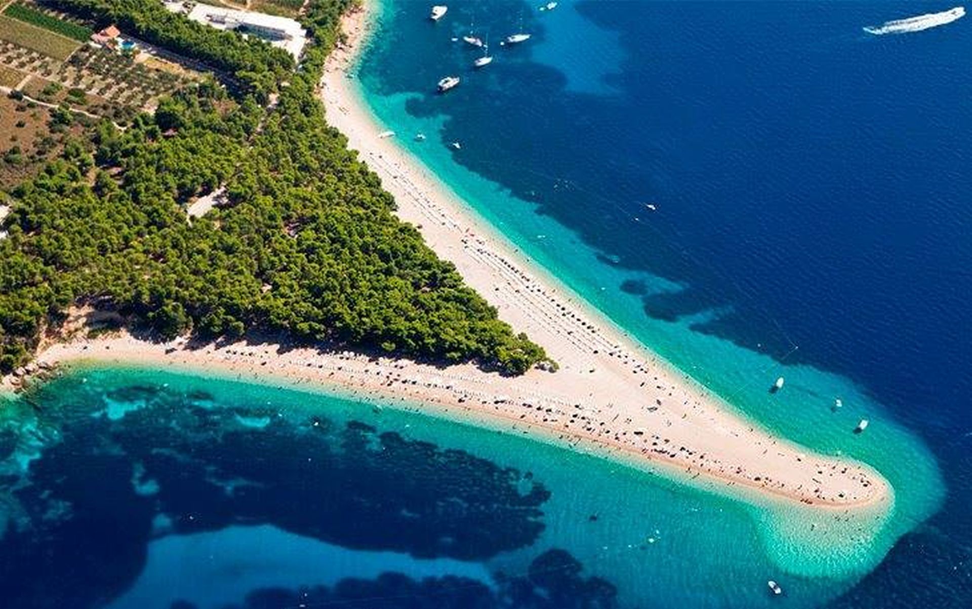 Golden Horn Cruise from Split - Alojamientos en Split