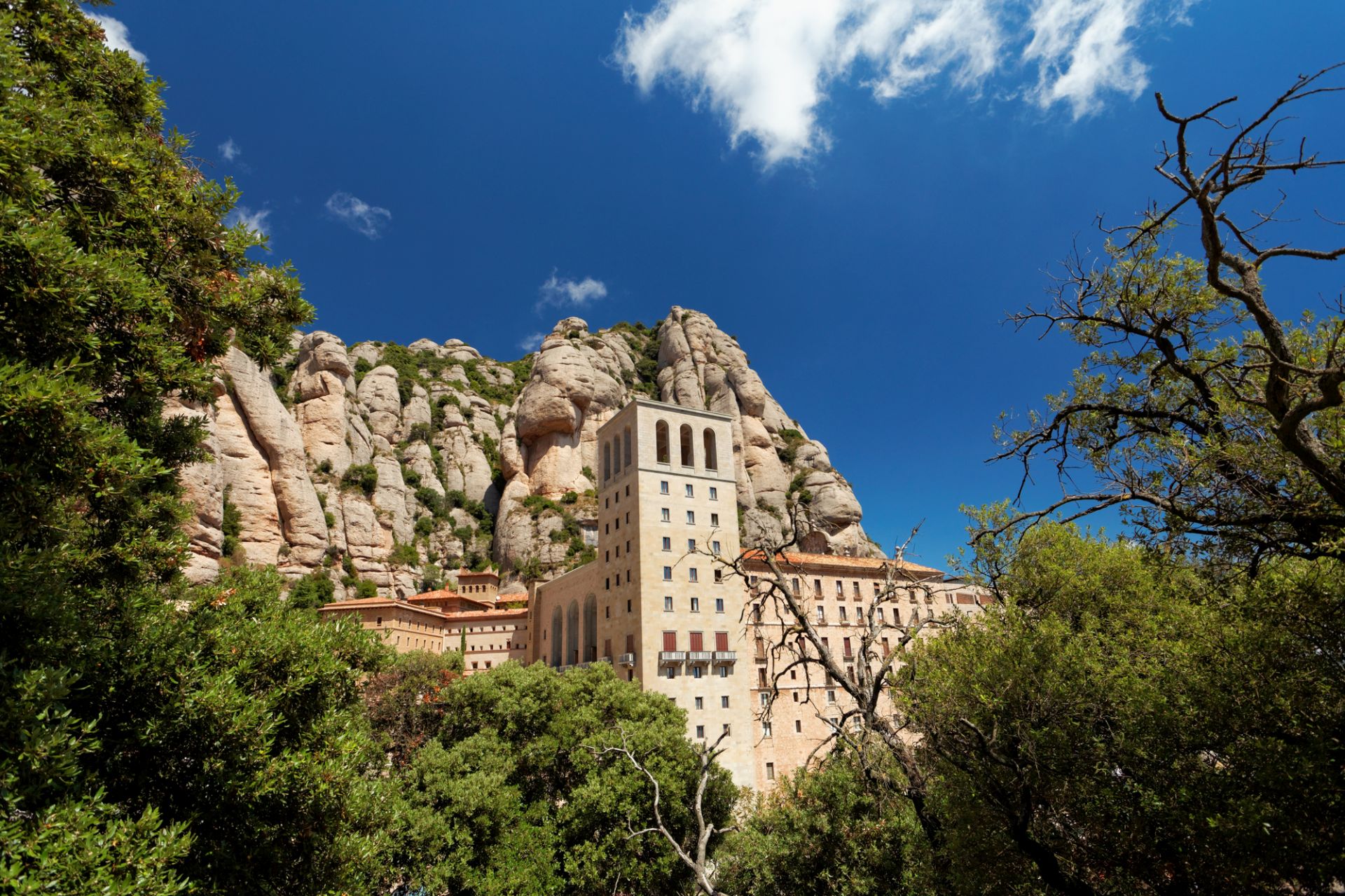 Cardona & Montserrat - Día Completo con Brunch: Castillo Medieval, Minas de Sal y Monasterio - Alojamientos en Barcelona