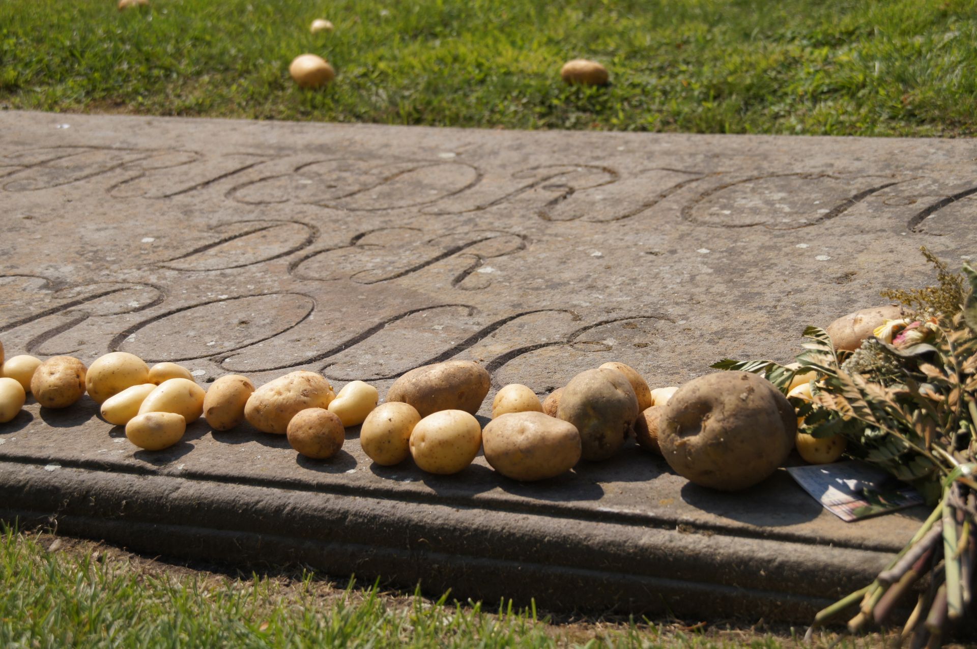 Potsdam, Ciudad Imperial con Transporte Público desde Berlín en Privado - Alojamientos en Berlin