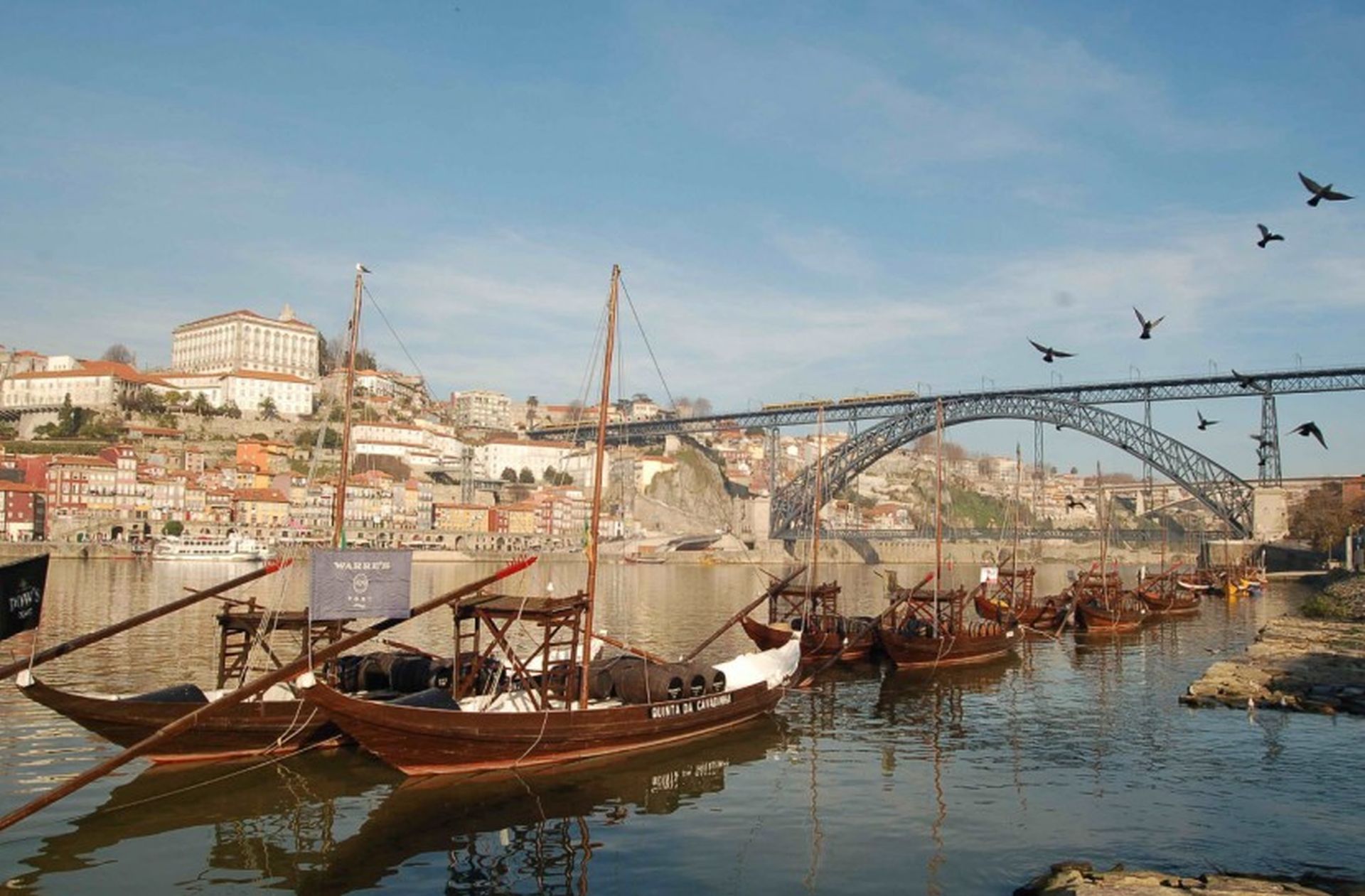 Half Day Porto City Tour & 6 Bridges Cruise - Alojamientos en Porto